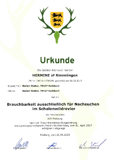 Urkunde Brauchbarkeit